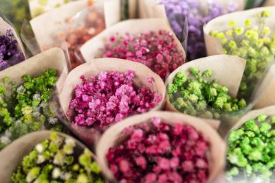 ハンドメイド作家のような個人が花き市場に出向いてお花を仕入れる方法について解説します。